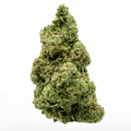 Amnesia Haze THCA+