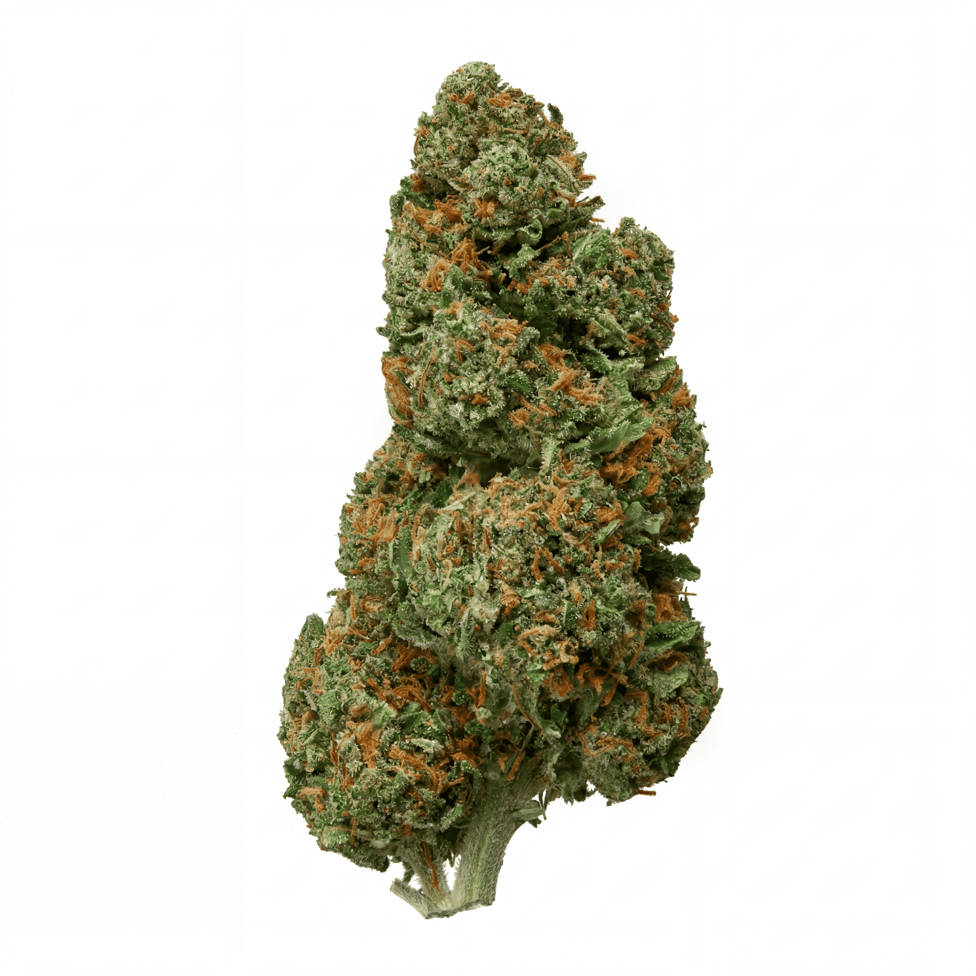 Lemon Haze THCA