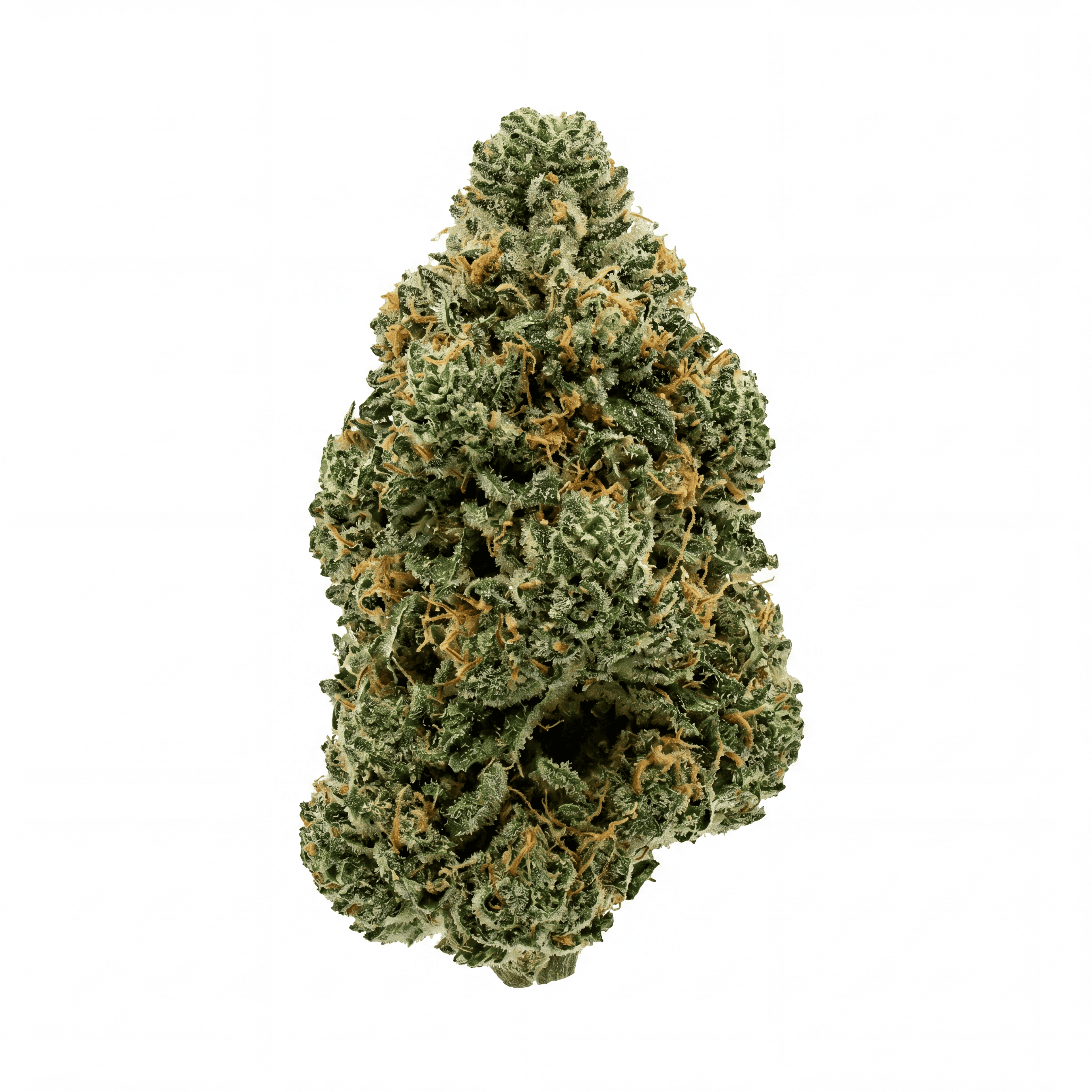 OG Kush THCA+