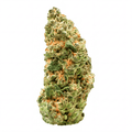 Tropical Kush THCA