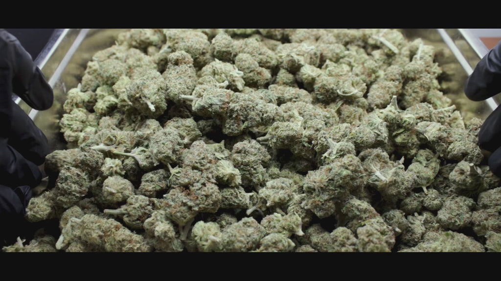 Strawberry Banana THV+