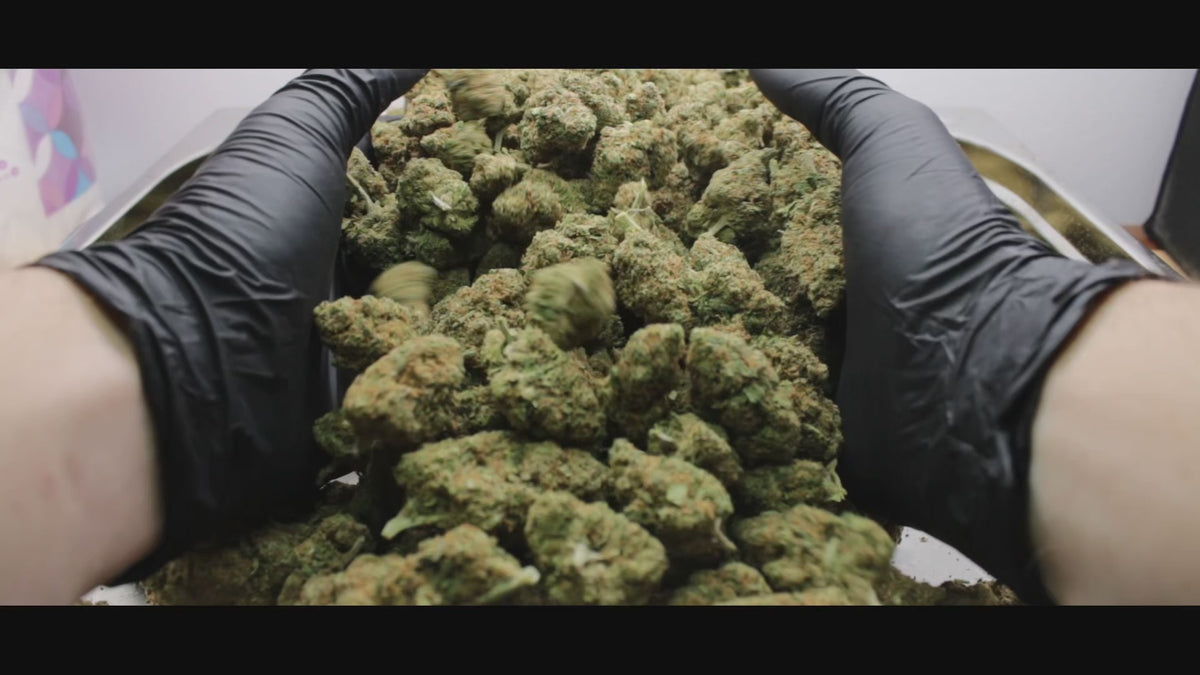OG Kush THV+